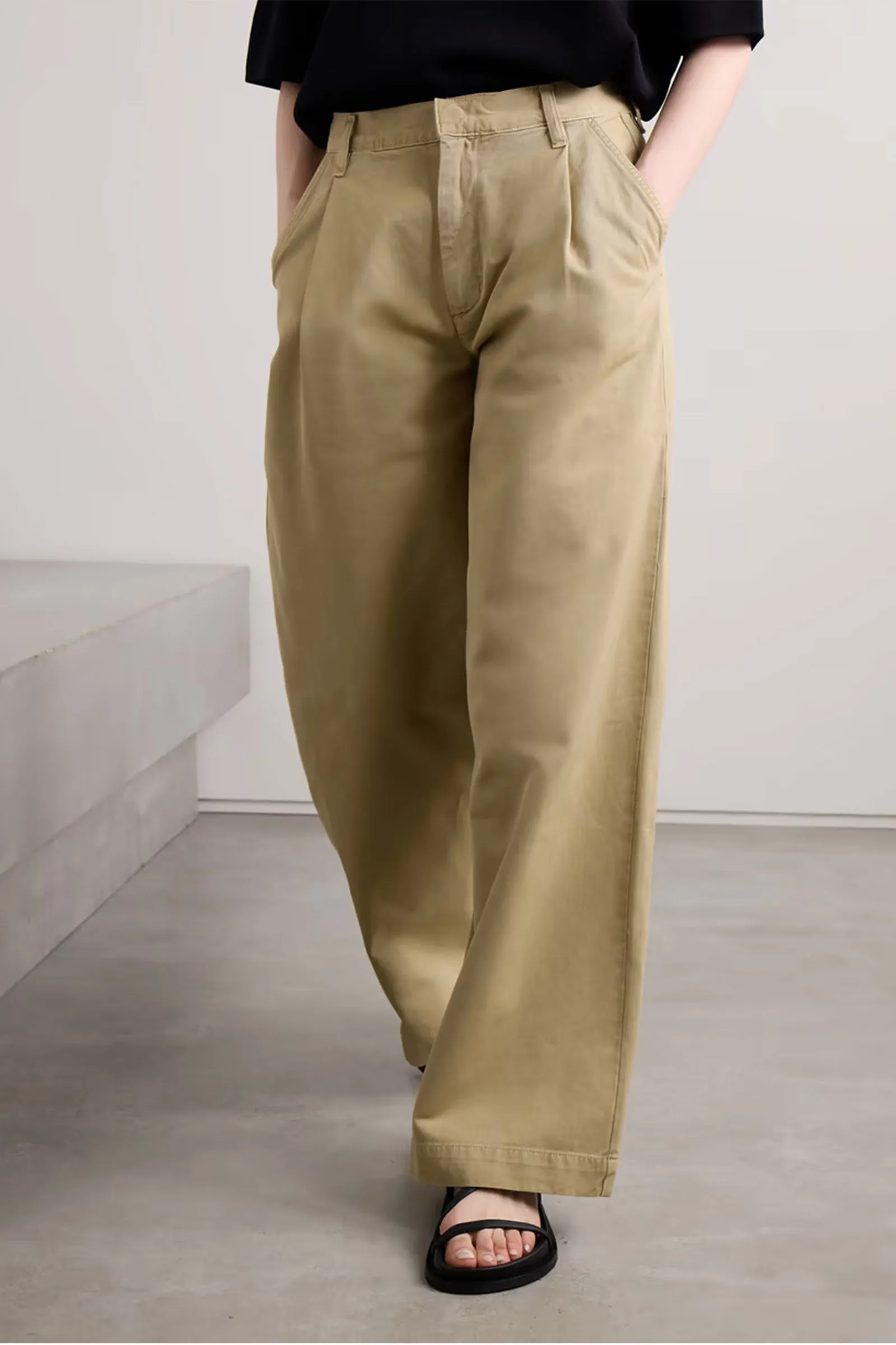 Daryl Pleated Cotton-twill Wide-leg Pants