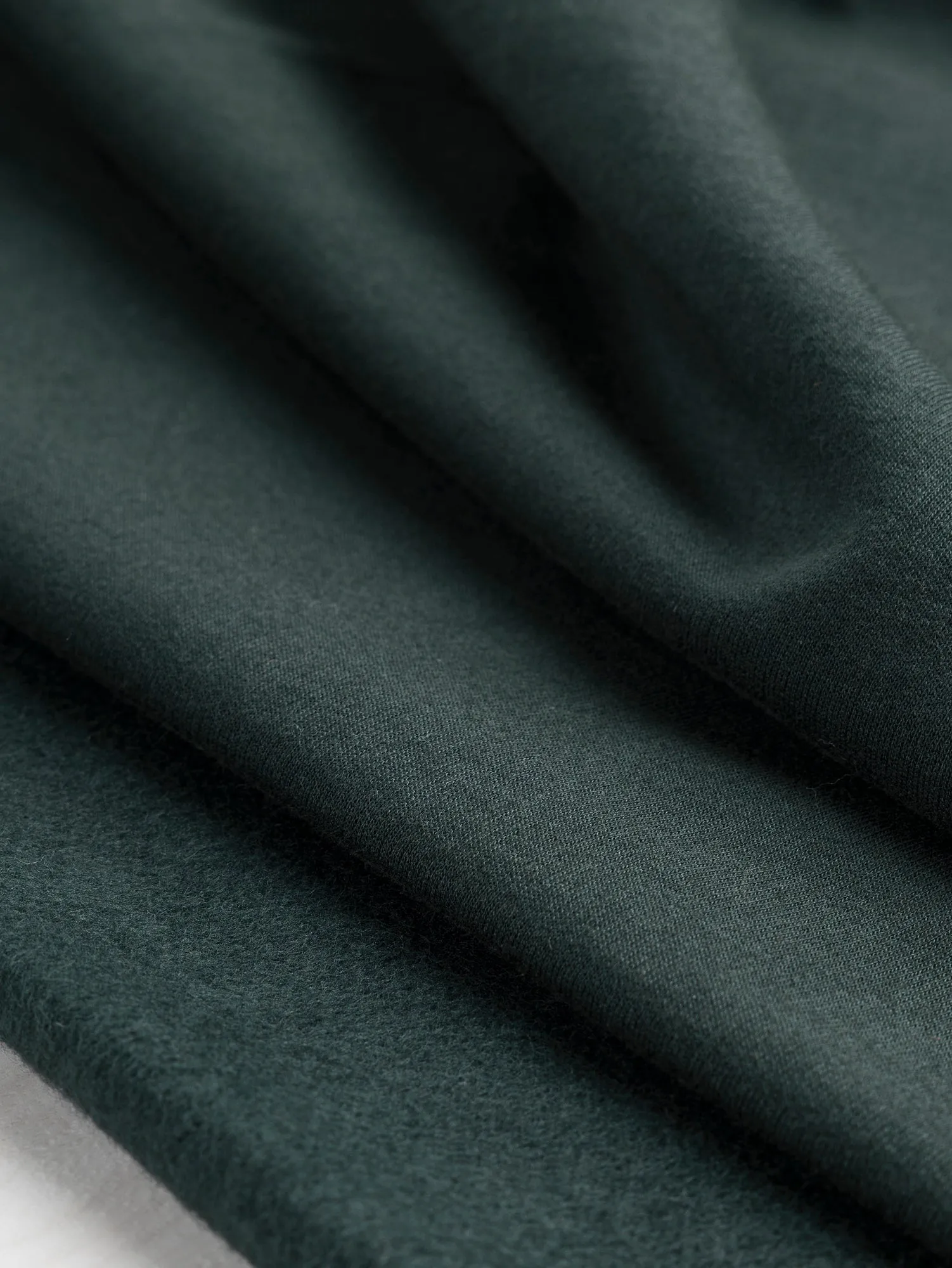 Organic Cotton Fleece - Evergreen - Swatch